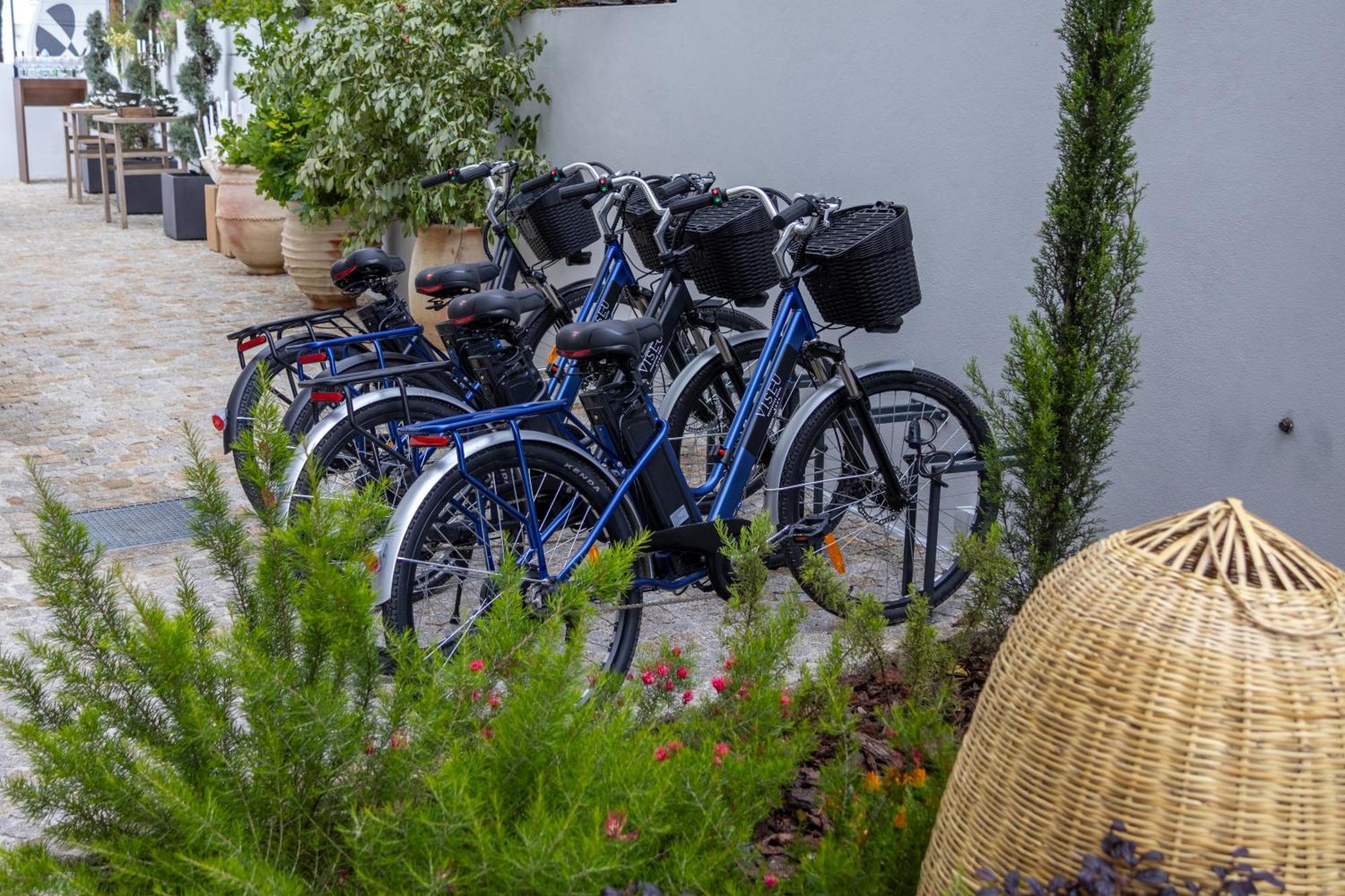 Viseu Executive Hotel Εξωτερικό φωτογραφία